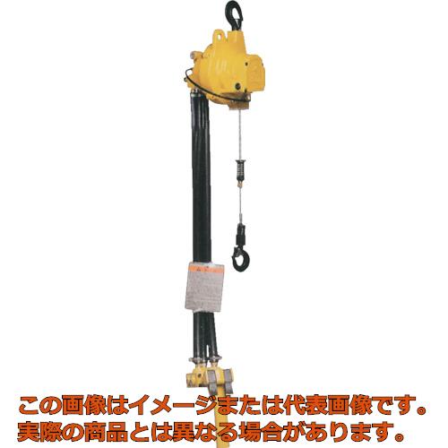 ＥＮＤＯ 40％OFFの激安セール 至高 エアーホイスト ＡＨ－２５０Ｒ ２５０ｋｇ ０．６ＭＰａ AH250R ２．５Ｍ