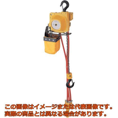 上品 即出荷 ＥＮＤＯ エアーホイスト ＡＴ－１２５Ｋ ３ｍ １２５ｋｇ AT125K