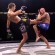 SBC 29 Revenge / Results