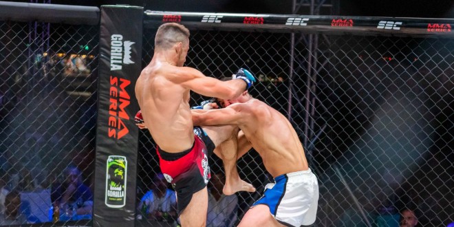 SBC 31 & MMA Series 36, Rezultati