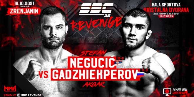 SBC 36 Revenge, Stefan Negucić vs Akbar Gadzhiekperov